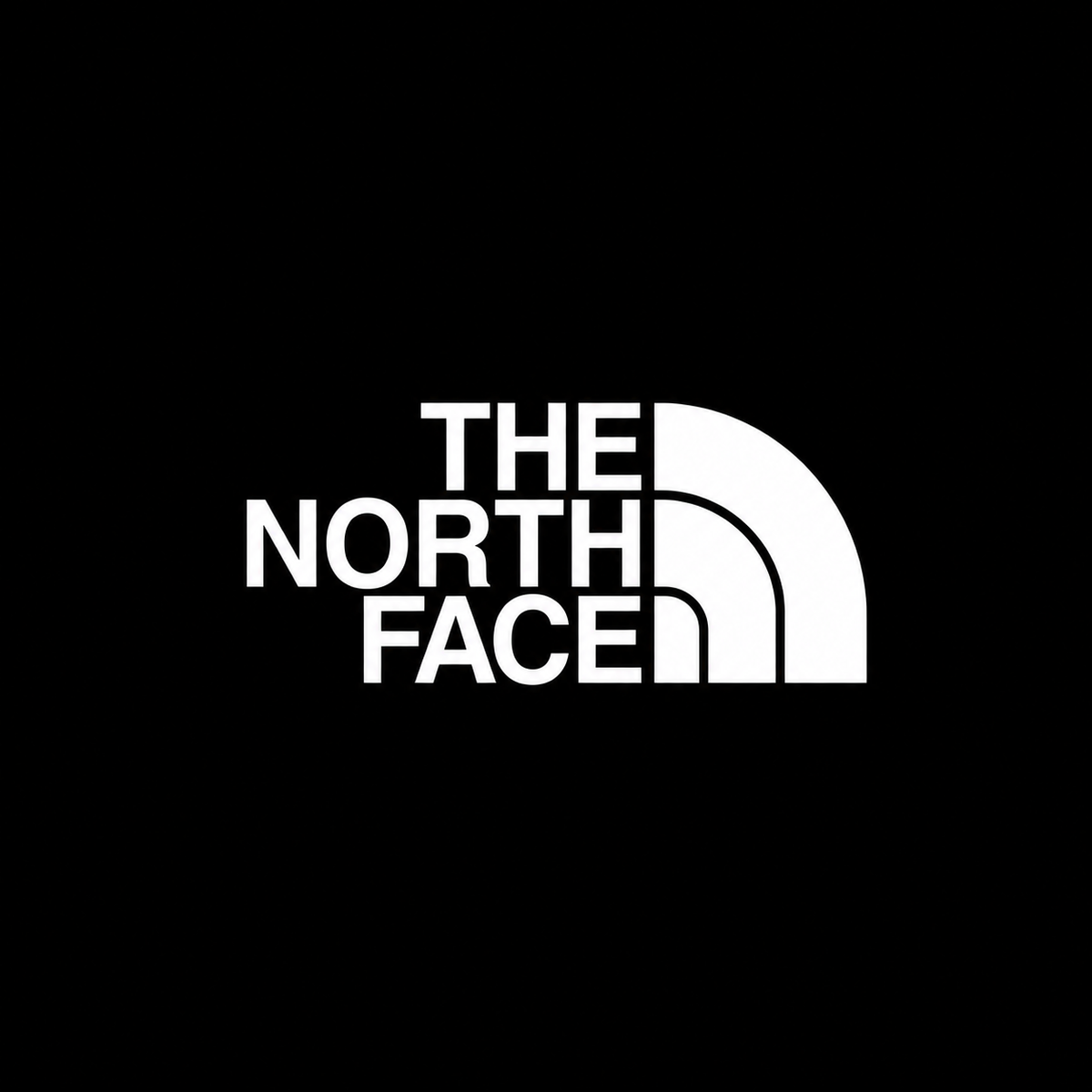 LOTS THE NORTH FACE
